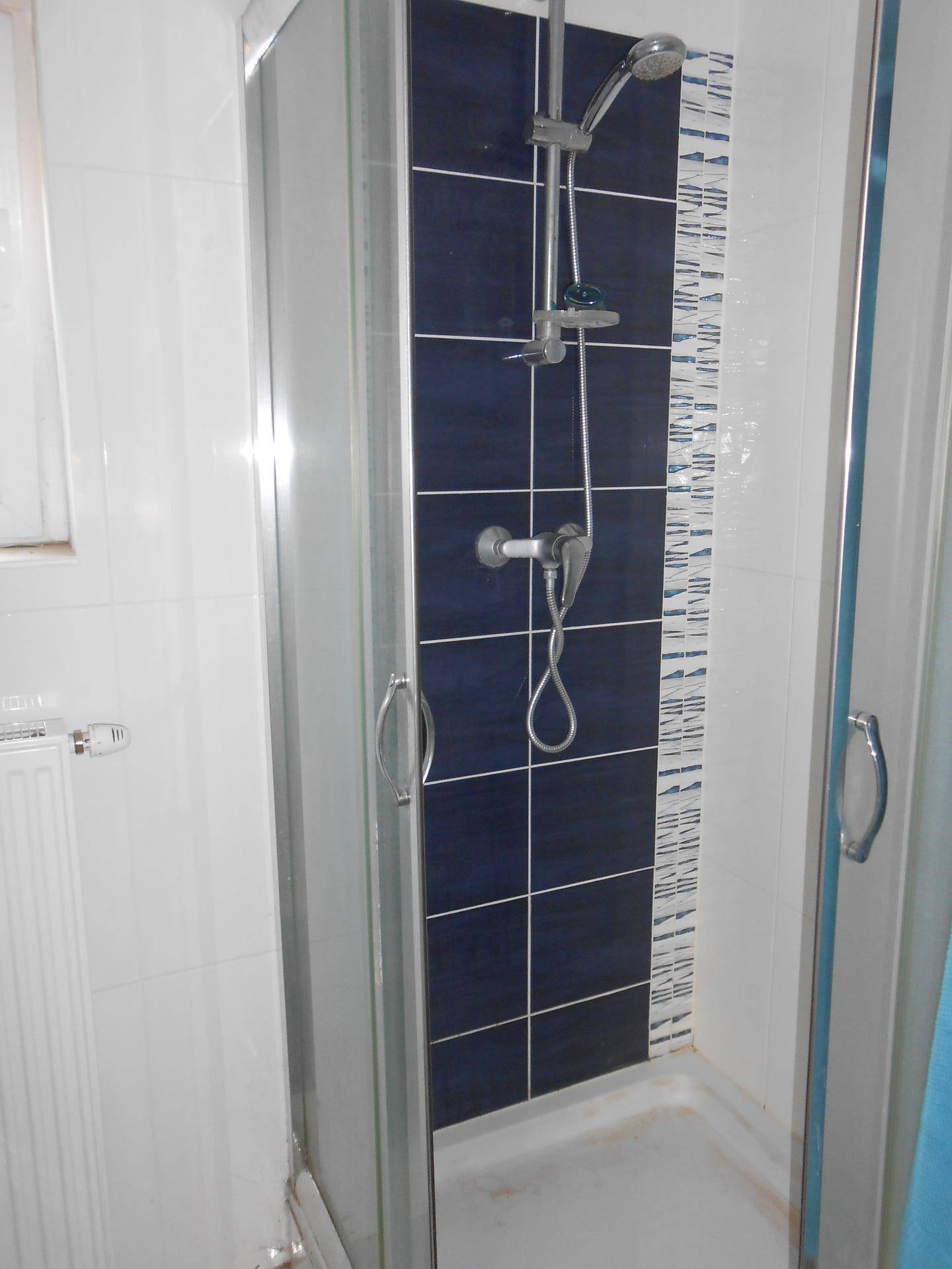Duschkabine mit dunkelblauen Fliesen und weißer Wandverkleidung im Badezimmer.
