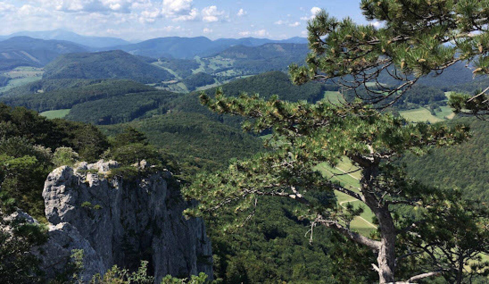 Wohnen mit Lebensqualität: Ihr Grundstück zwischen Gaaden und Baden - provisionsfrei - Ansicht 3