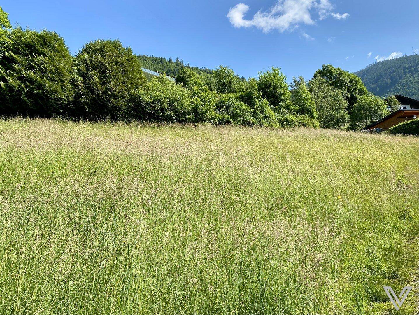 Grüne Wiese mit hohem Gras und Blick auf entfernte Häuser und Hügel.
