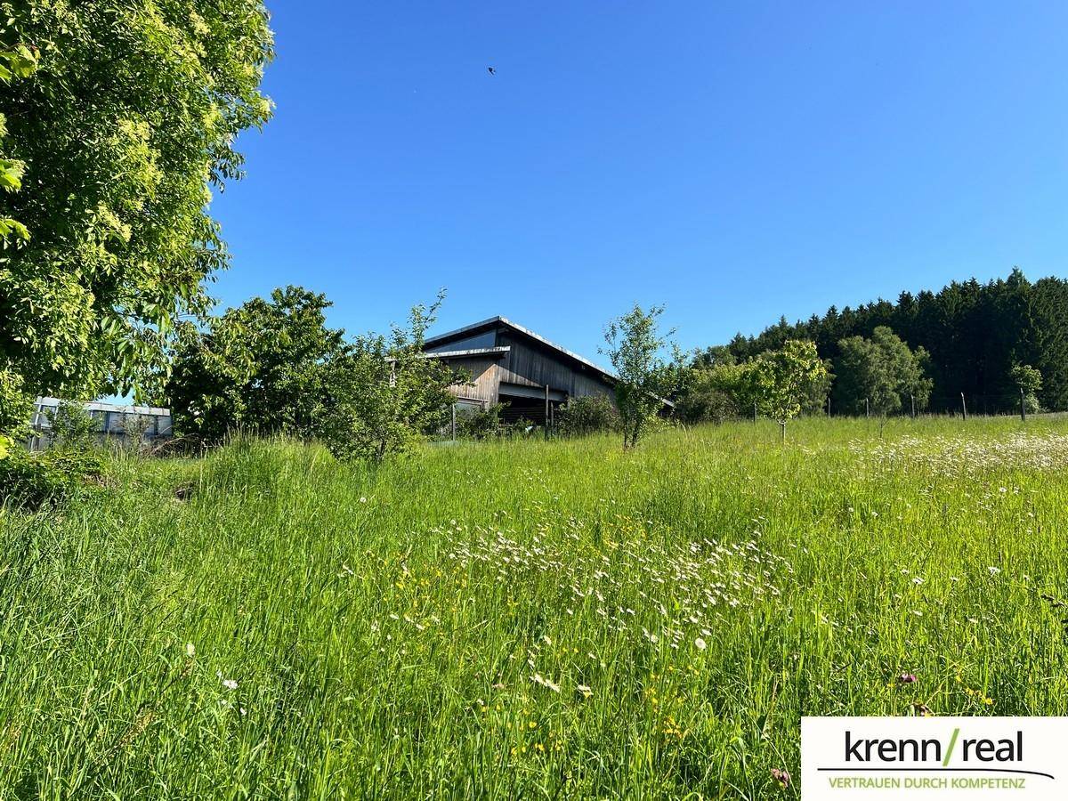 Garten, zusätzliches Grundstück zum Erwerb