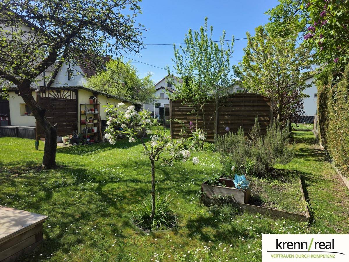 Sonniger Garten mit blühenden Bäumen, Rasen und Hochbeeten für den Anbau von Pflanzen.