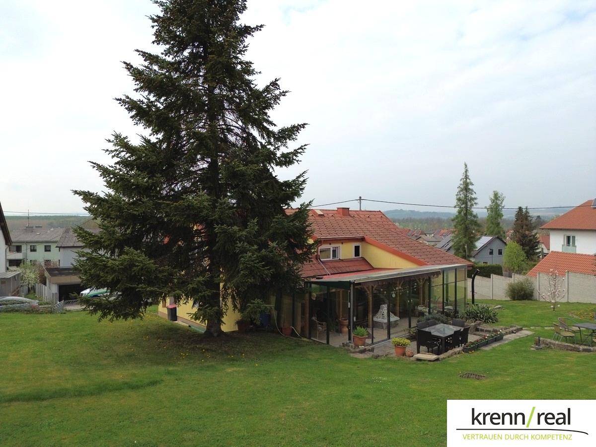 Weitläufiger Gartenbereich mit großem Nadelbaum und Blick auf das Haus mit Wintergarten.
