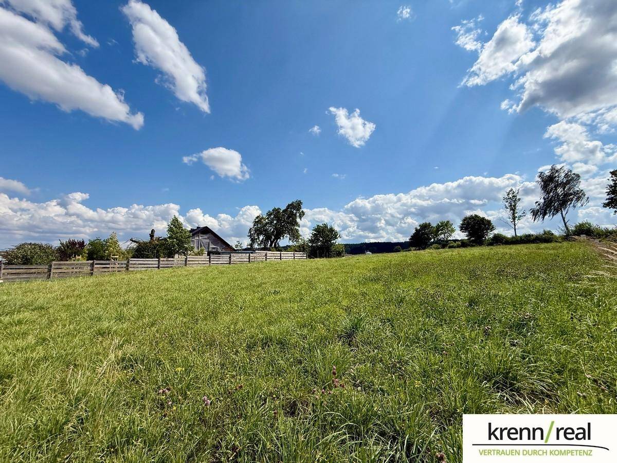 Weitläufige grüne Wiese unter blauem Himmel mit vereinzelten Bäumen und einem Haus in der Ferne.