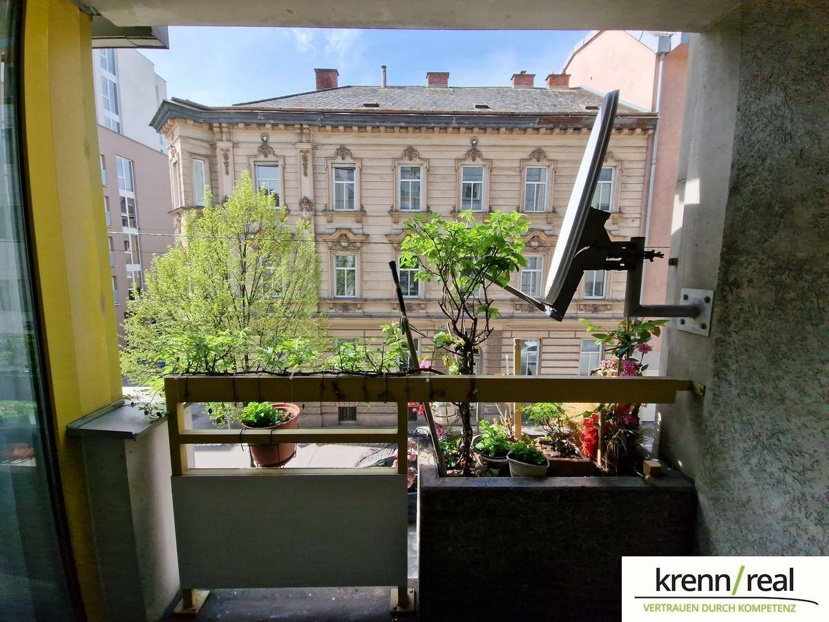 Kleiner Balkon mit Pflanzen und Blick auf ein charmantes Altbaugebäude gegenüber.