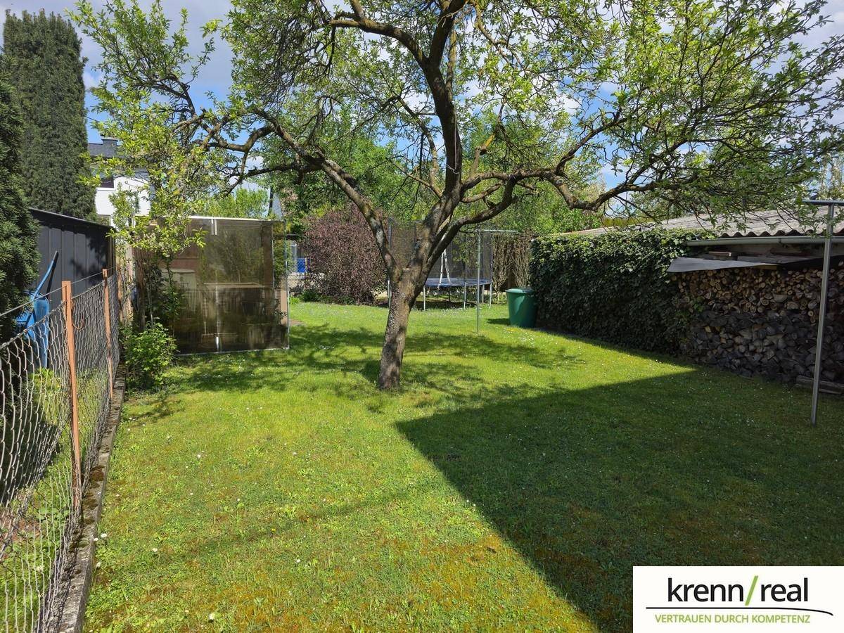 Weitläufiger Garten mit Rasenfläche, altem Baum, Trampolin und Holzstapel für den Kamin.