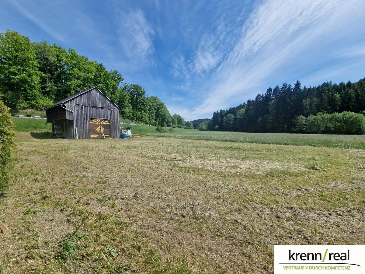Weitläufiges Feld mit rustikaler Scheune und bewaldeten Hügeln unter strahlend blauem Himmel.