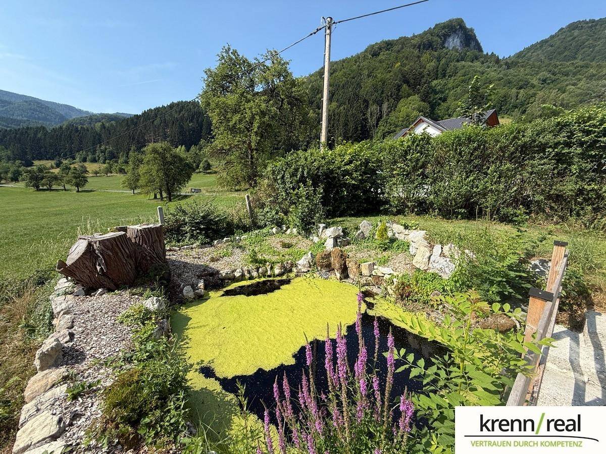 Natürlicher Gartenteich mit üppiger Vegetation und Blick auf die umliegende Landschaft.