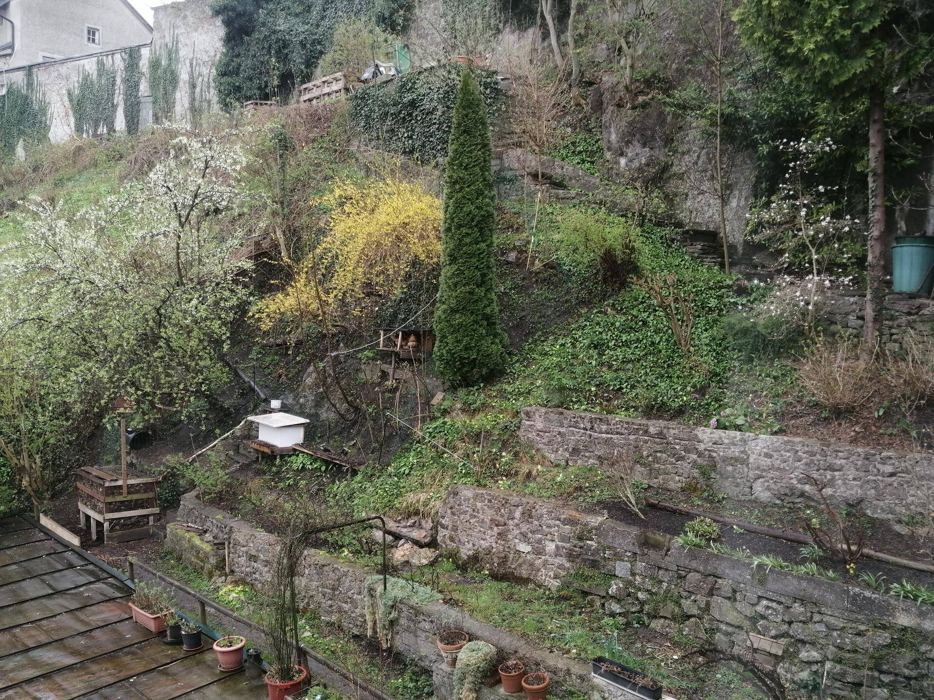 Terrassierter Garten mit Steinmauern, üppiger Vegetation und Bäumen.