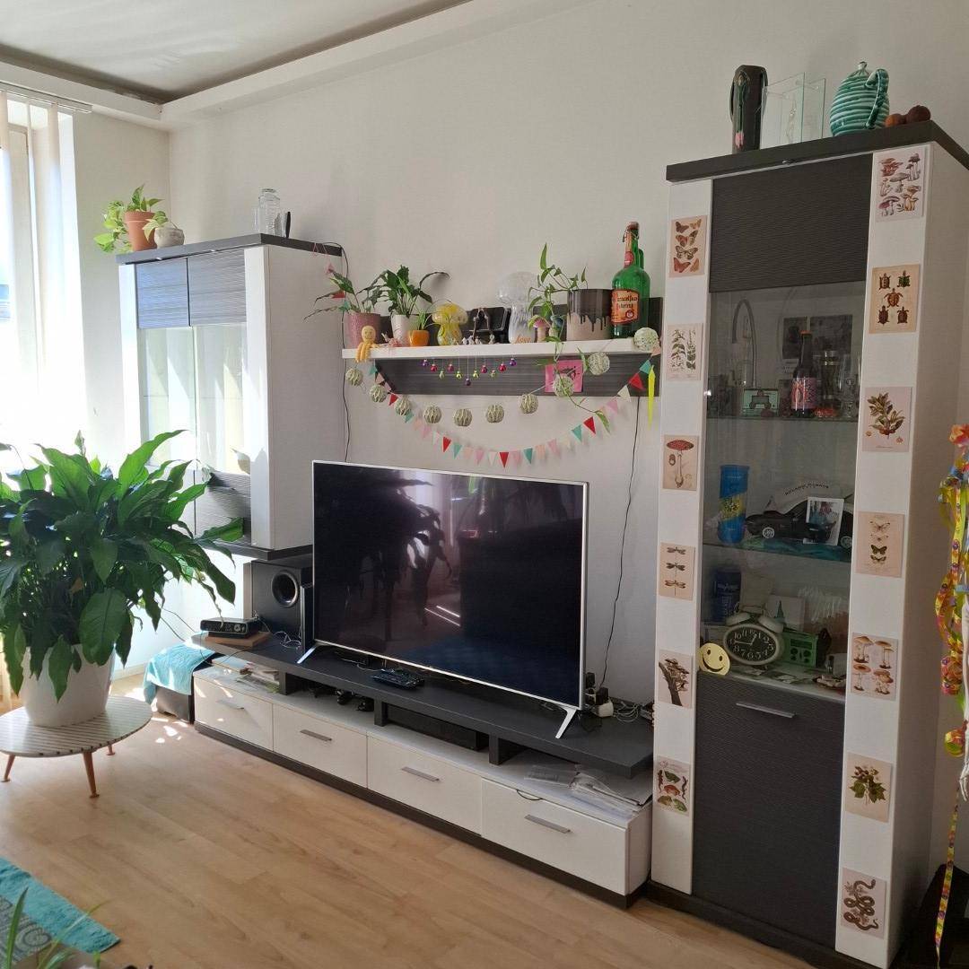 Wohnzimmer mit modernem TV-Möbel, Regalen und vielfältigen Dekorationsgegenständen, die den Raum beleben.
