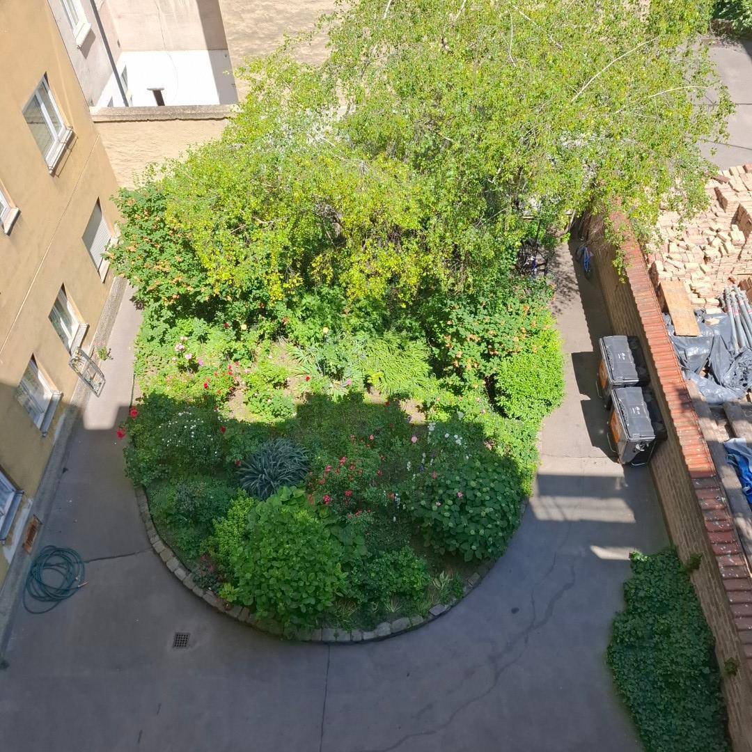 Grüner Innenhofgarten mit üppiger Bepflanzung und altem Baumbestand, umgeben von Gebäuden.