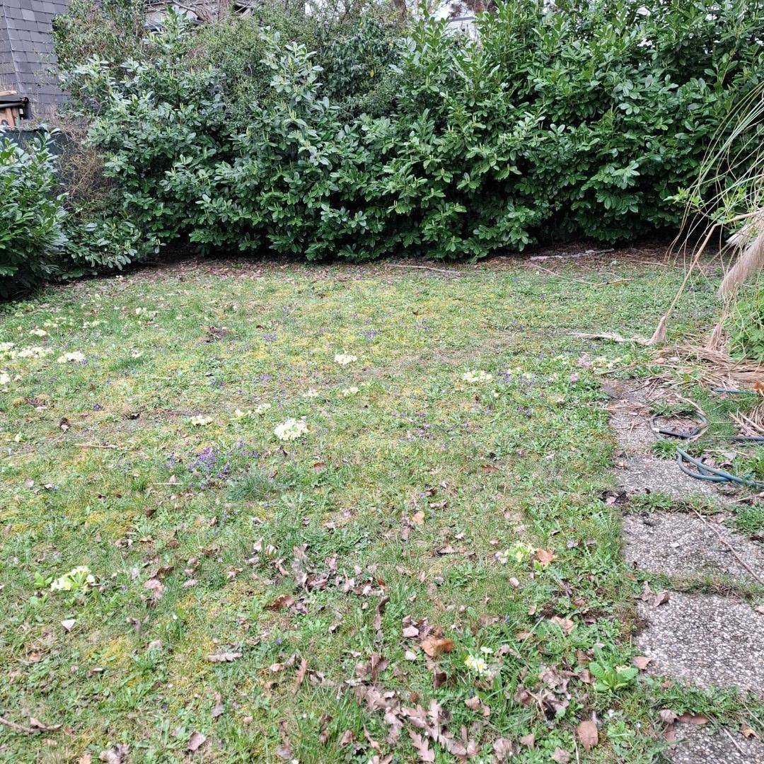 Kleiner Gartenbereich mit Rasen und umgebenden Büschen, ideal für Erholung im Freien.