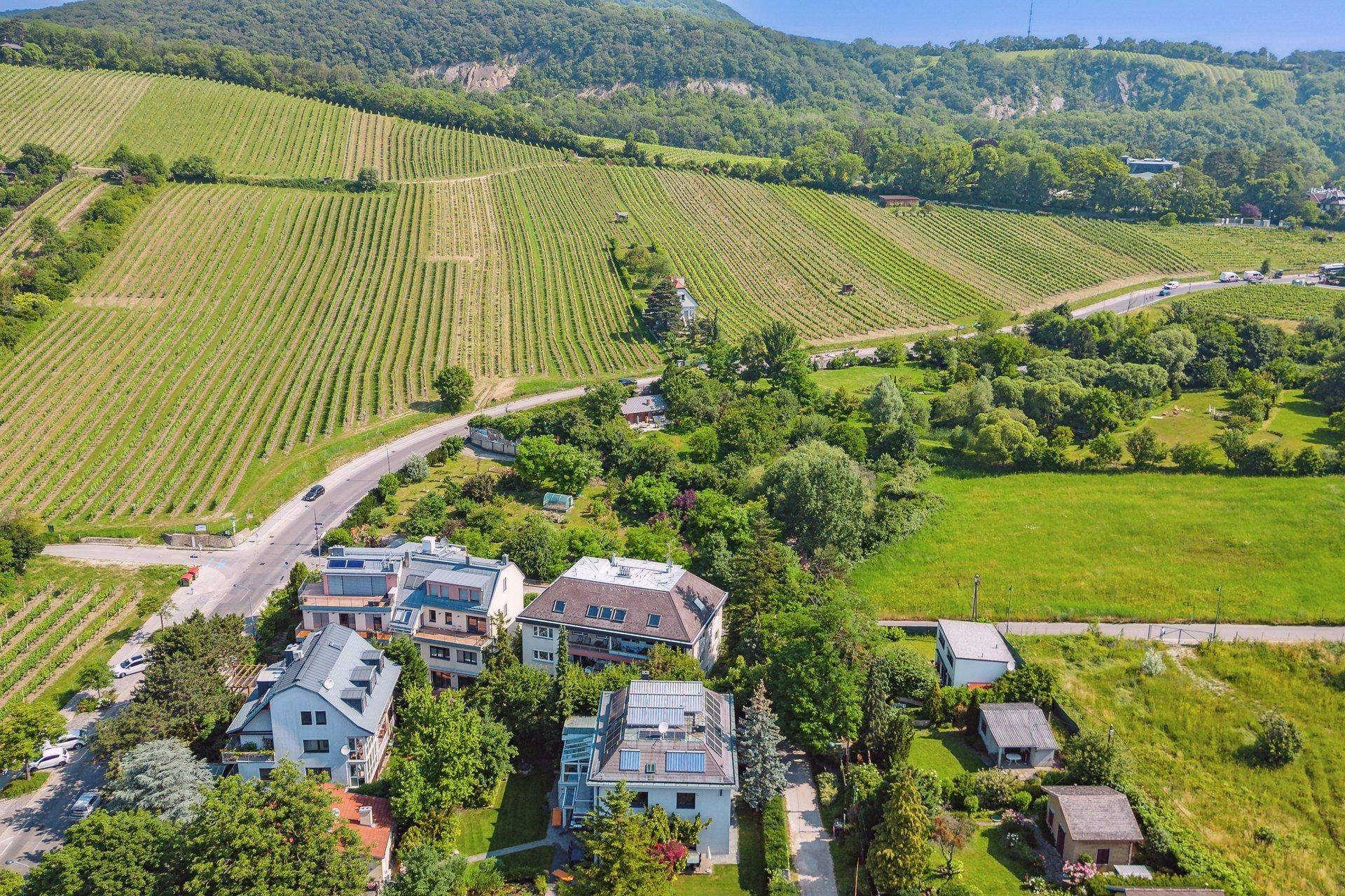 Luftaufnahme einer Wohnsiedlung umgeben von Weinbergen und grüner Landschaft.