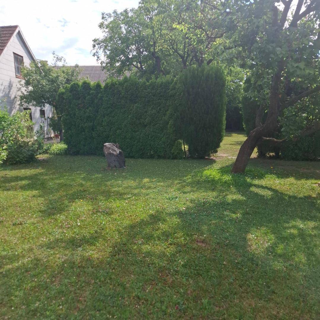 Gepflegter Gartenbereich mit einer hohen, dichten Hecke, die Privatsphäre bietet, und einer Rasenfläche.