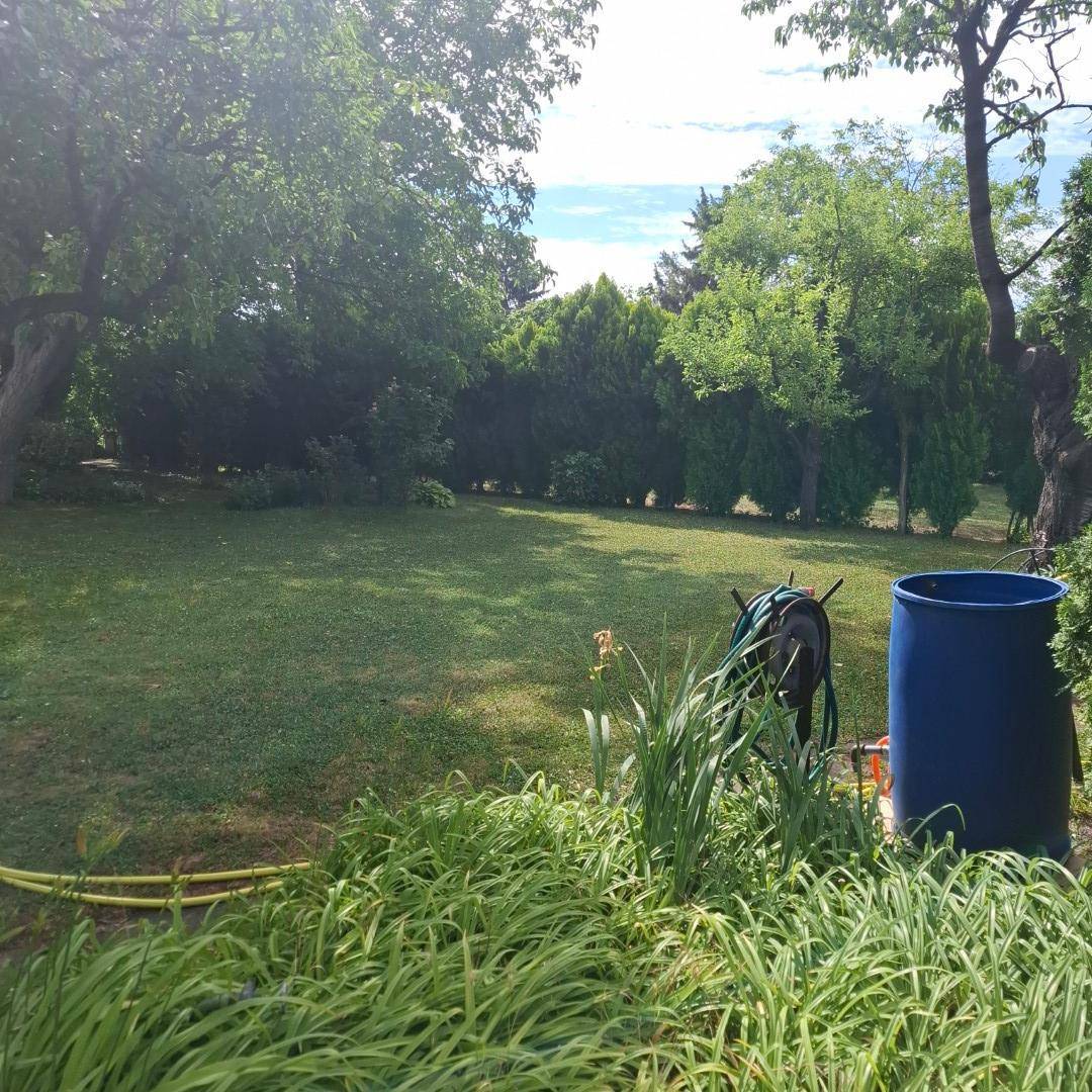 Weitläufiger Rasengarten mit vielen Bäumen und Sträuchern, ideal für Erholung und Gartenarbeit.
