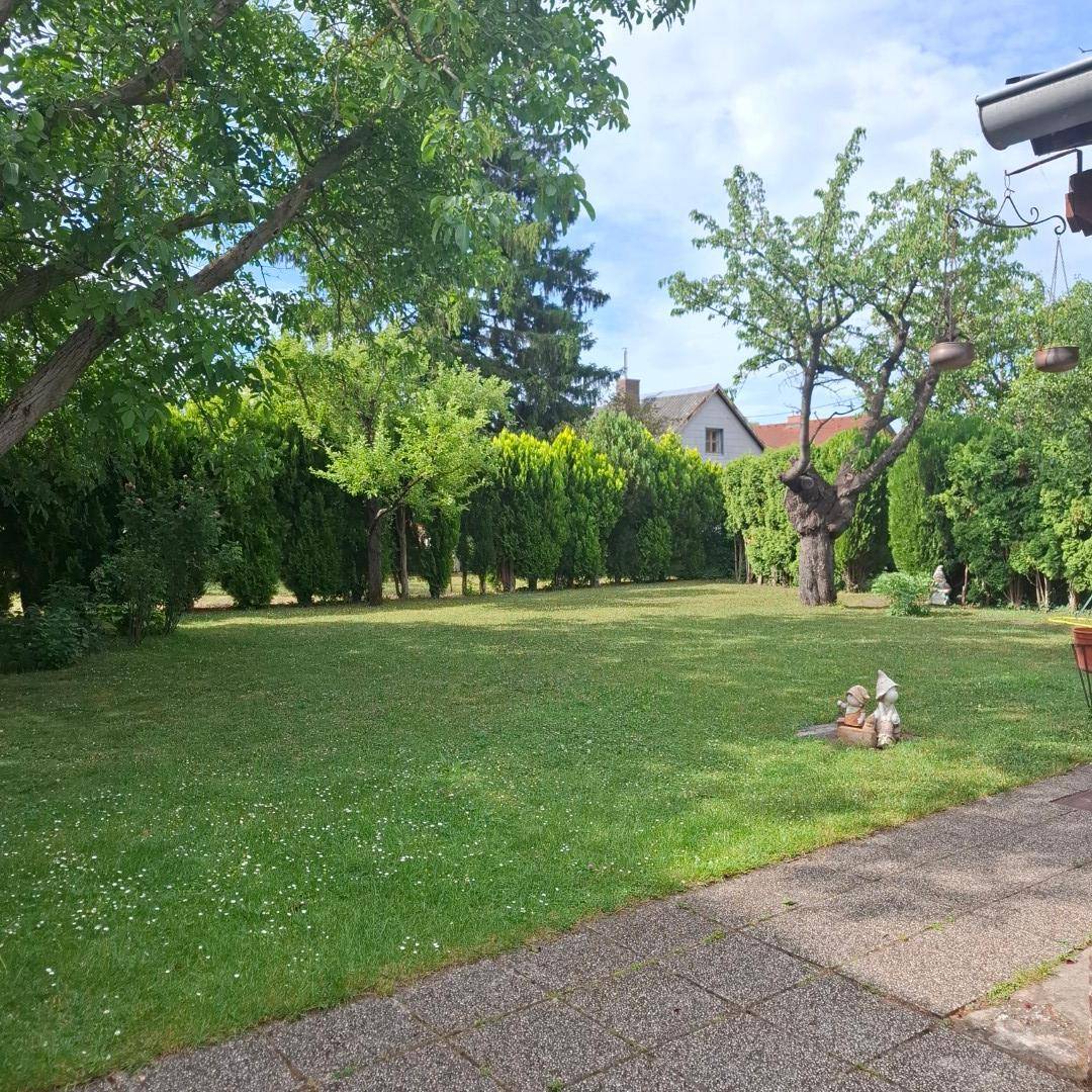 Blick vom gepflasterten Bereich auf den großen Rasengarten mit hohen Bäumen und kleinen Dekorationen.