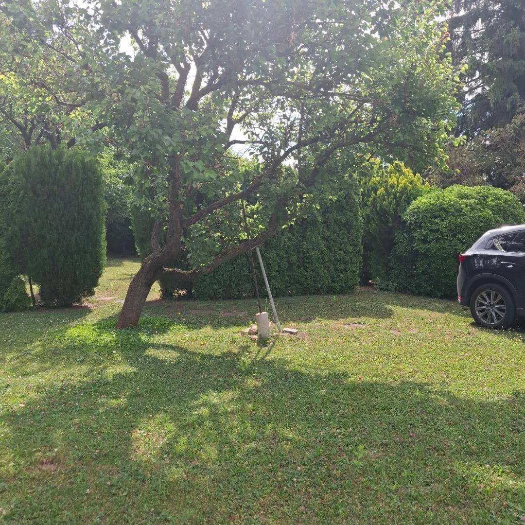 Garten mit schattenspendenden Bäumen und einer Rasenfläche, daneben ein geparktes Fahrzeug.