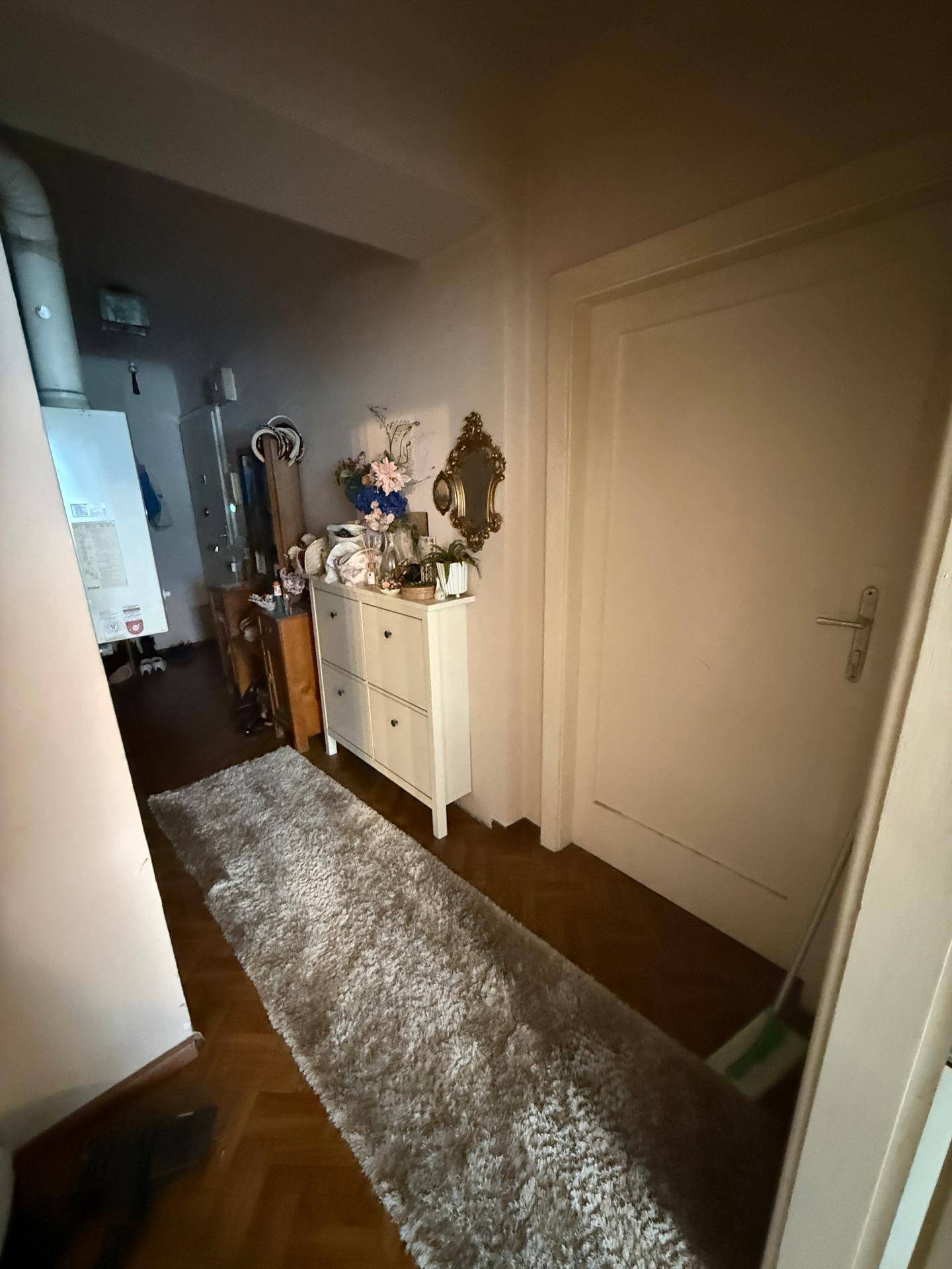 Flur mit Schuhschrank und Teppichläufer, bietet praktischen Stauraum im Eingangsbereich.