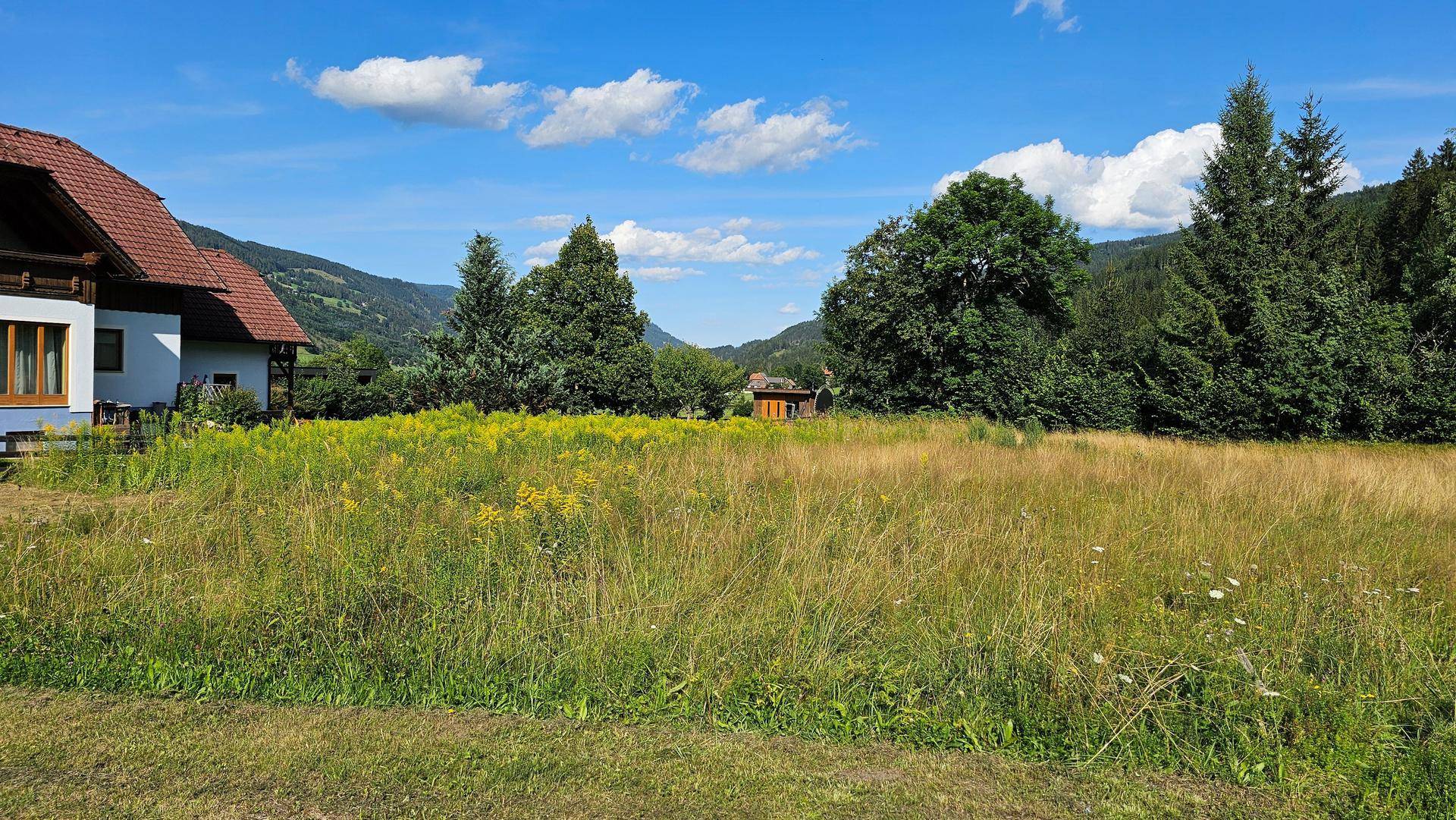 Sonniges Feld mit hohem Gras und Blick auf ein traditionelles Haus und bewaldete Berge.