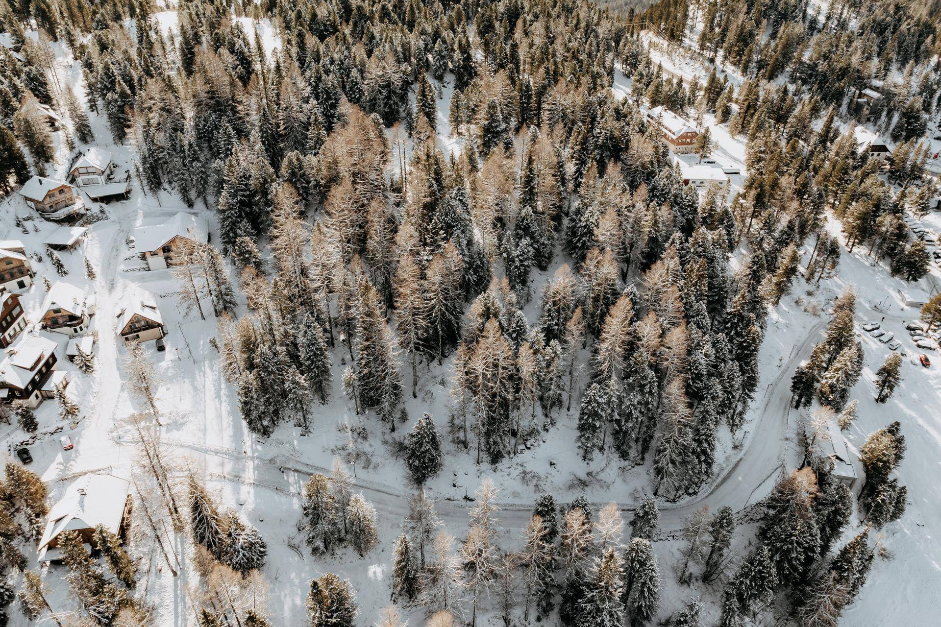 Detailansicht einer verschneiten Waldsiedlung mit vereinzelten Häusern und einer gewundenen Straße.