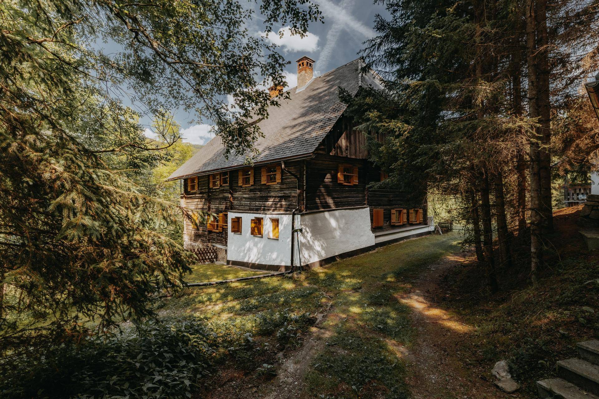 Rustikales Holzhaus umgeben von dichten Nadelbäumen in einer idyllischen Berglandschaft.