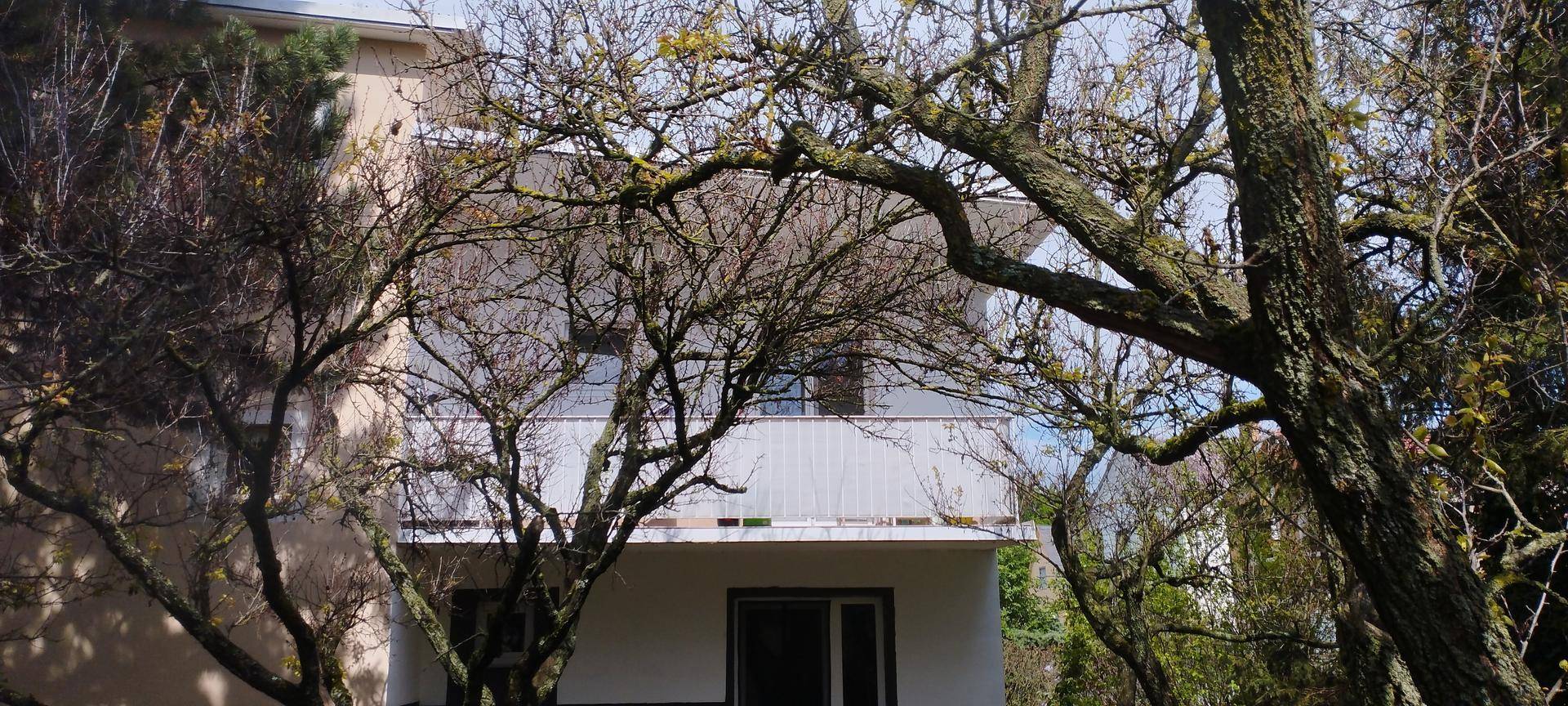 Teilansicht der Gebäudefassade mit Balkonen, umgeben von Bäumen und Vegetation.