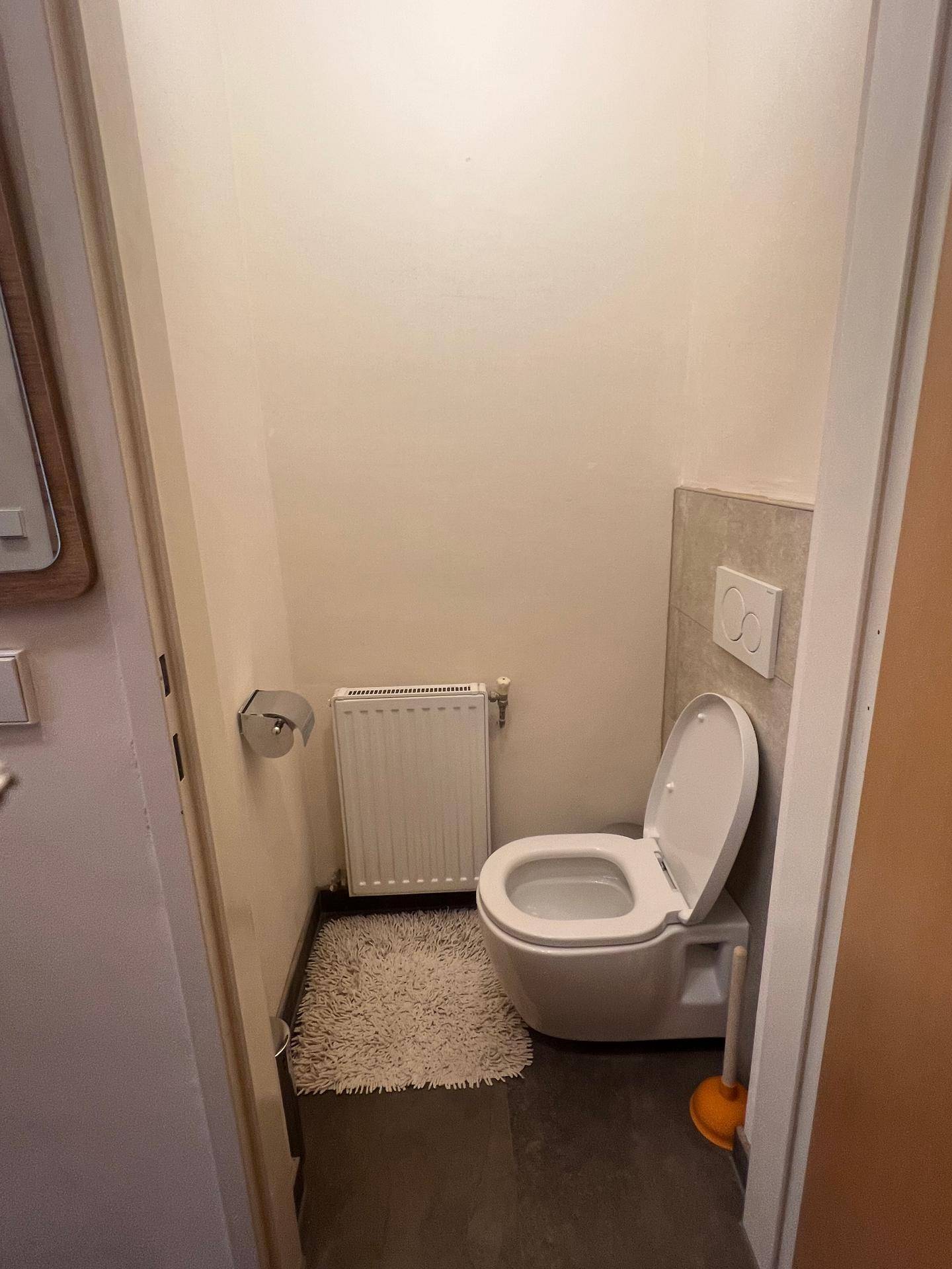 Sauberes Gäste-WC mit wandmontierter Toilette und Heizkörper, ausgestattet mit einem kleinen Teppich.