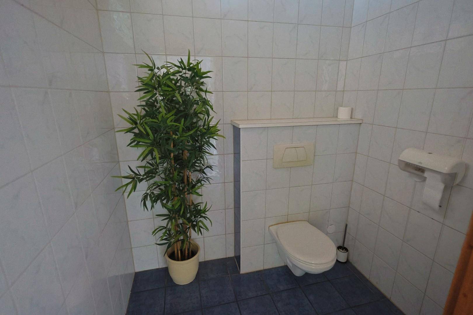 Einfache Toilettenkabine mit weißen Fliesen, wandhängendem WC und einer dekorativen Pflanze für eine frische Atmosphäre.