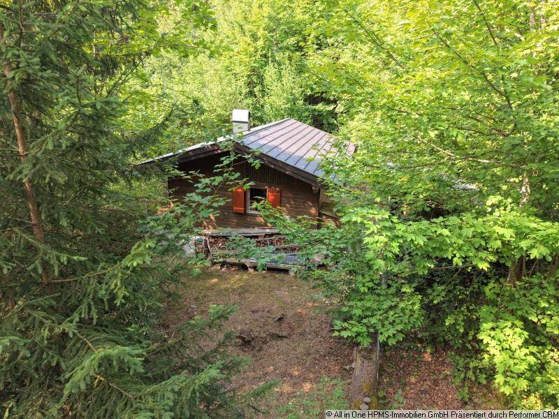 Rustikale Holzhütte versteckt zwischen Bäumen, mit Blick auf die umliegende Natur.
