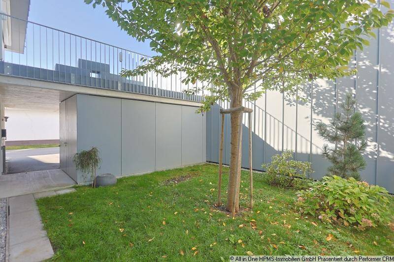 Seitlicher Gartenbereich mit Rasen, jungem Baum und Zugang zum Gebäude unter dem Carport.