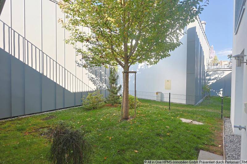 Kleiner, gepflegter Gartenbereich mit Rasenfläche und einem jungen Baum zwischen den Gebäuden.