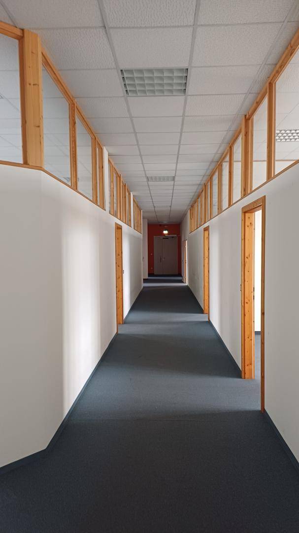 Langer, heller Bürogang mit Teppichboden, weißen Wänden und Holztüren zu den Büros.