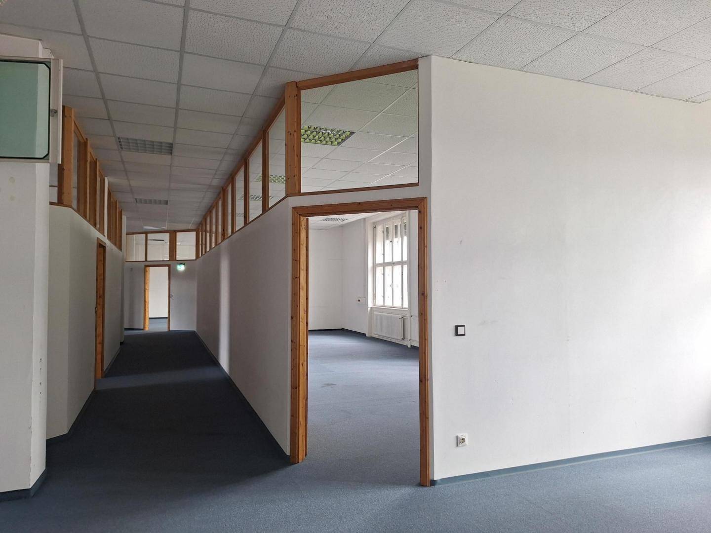 Langer Bürogang mit blauem Teppichboden und Holztüren, der zu einem hellen Büroraum führt.