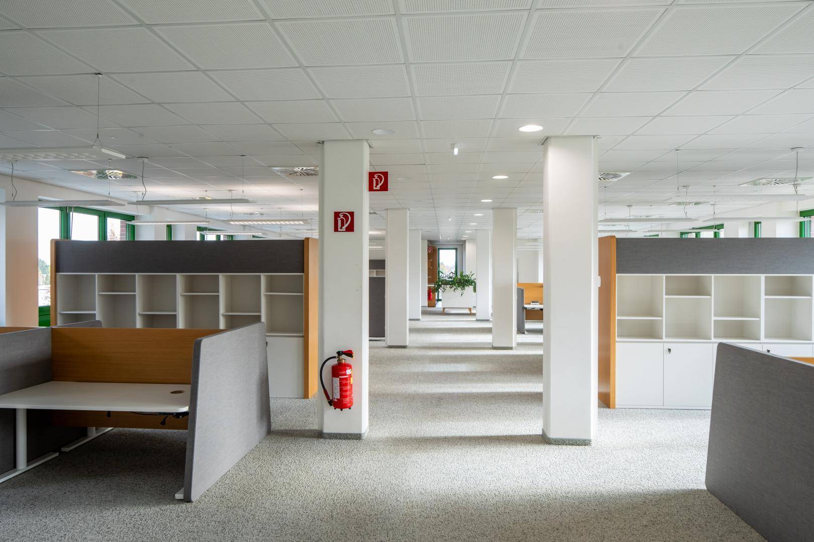 Heller und geräumiger Großraumbüro mit modernen Möbeln und Teppichboden.