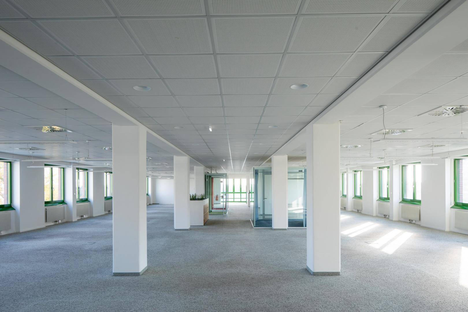 Großes, leeres Büro mit Teppichboden, vielen Fenstern und Säulen, bereit zur individuellen Gestaltung.