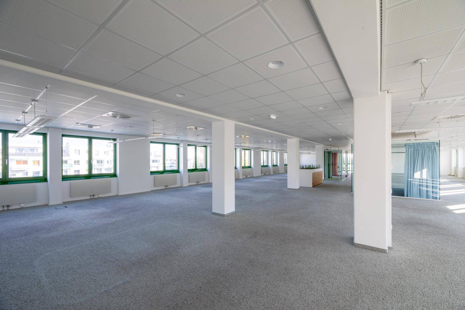 Geräumiges, leeres Büro mit Teppichboden, vielen Fenstern und Säulen, ideal für flexible Arbeitsplatzgestaltung.