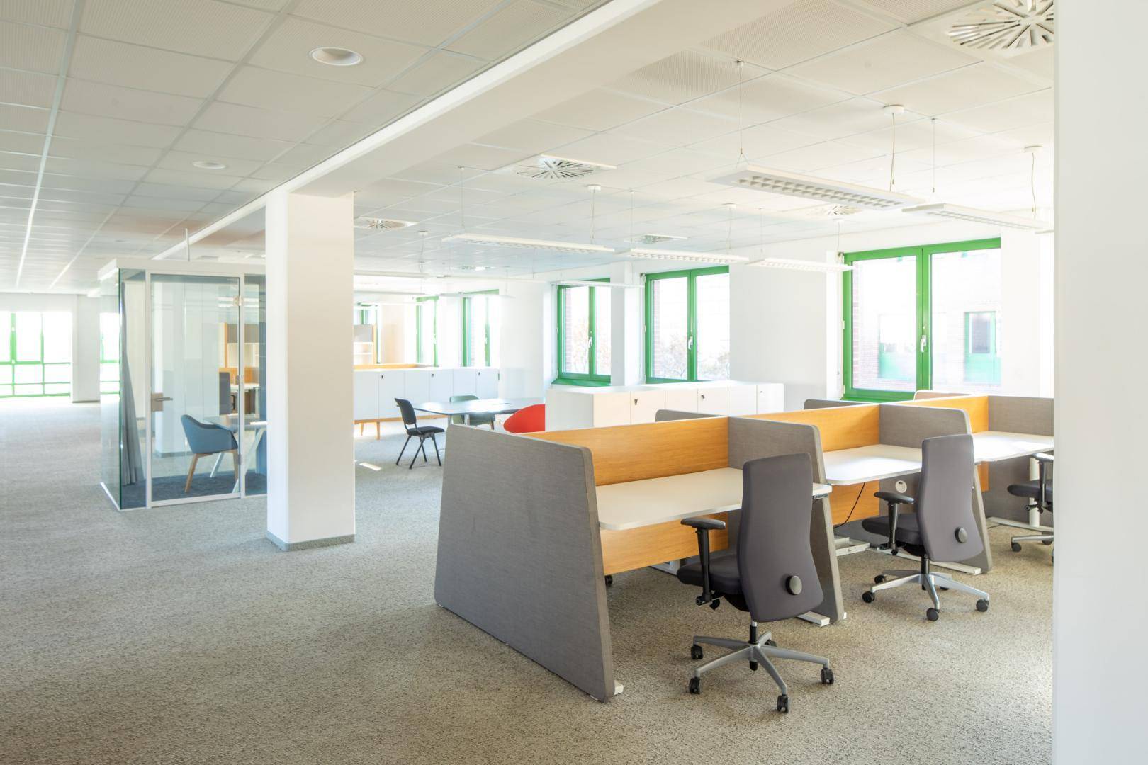 Modernes Großraumbüro mit flexiblen Arbeitsplätzen, Glaswänden und viel Tageslicht durch grüne Fenster.