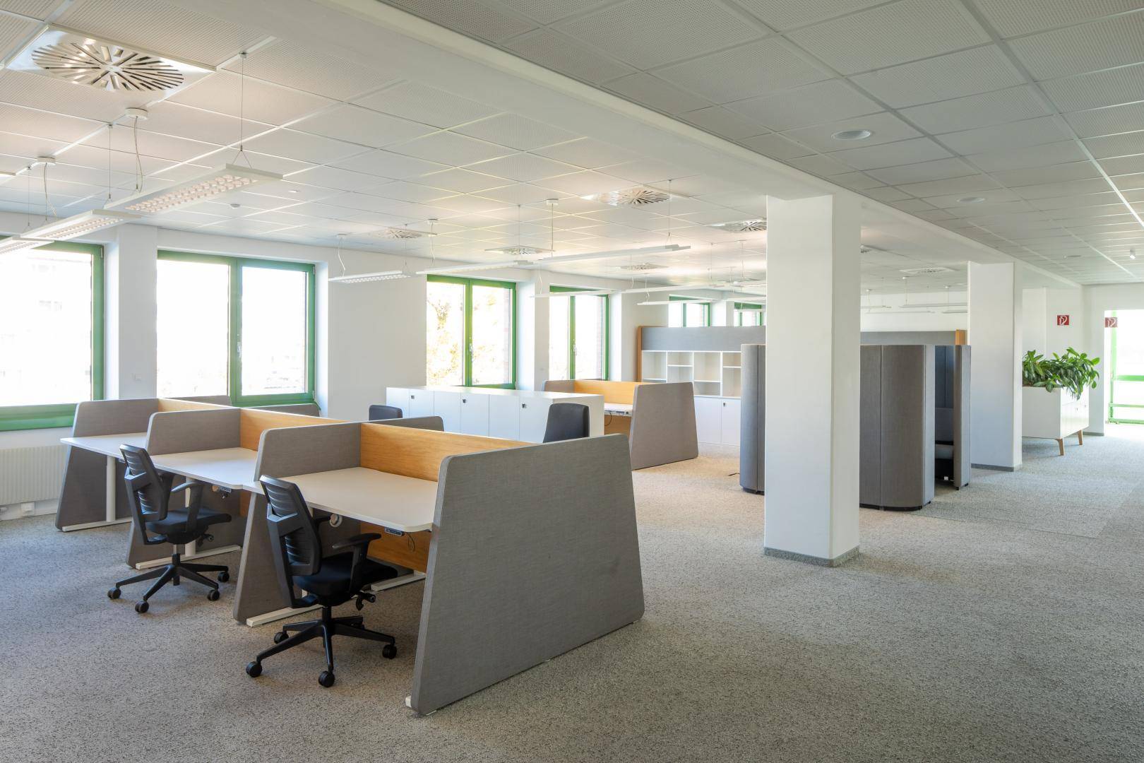 Geräumiges Großraumbüro mit modularen Arbeitsplätzen, Teppichboden und hellen grünen Fensterrahmen.