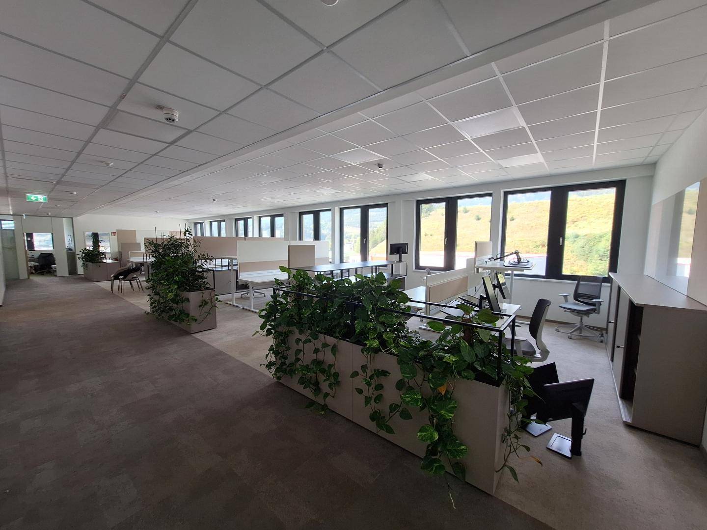 Offenes Büro mit vielen Pflanzen, modernen Arbeitsplätzen und weitem Blick auf die grüne Umgebung.