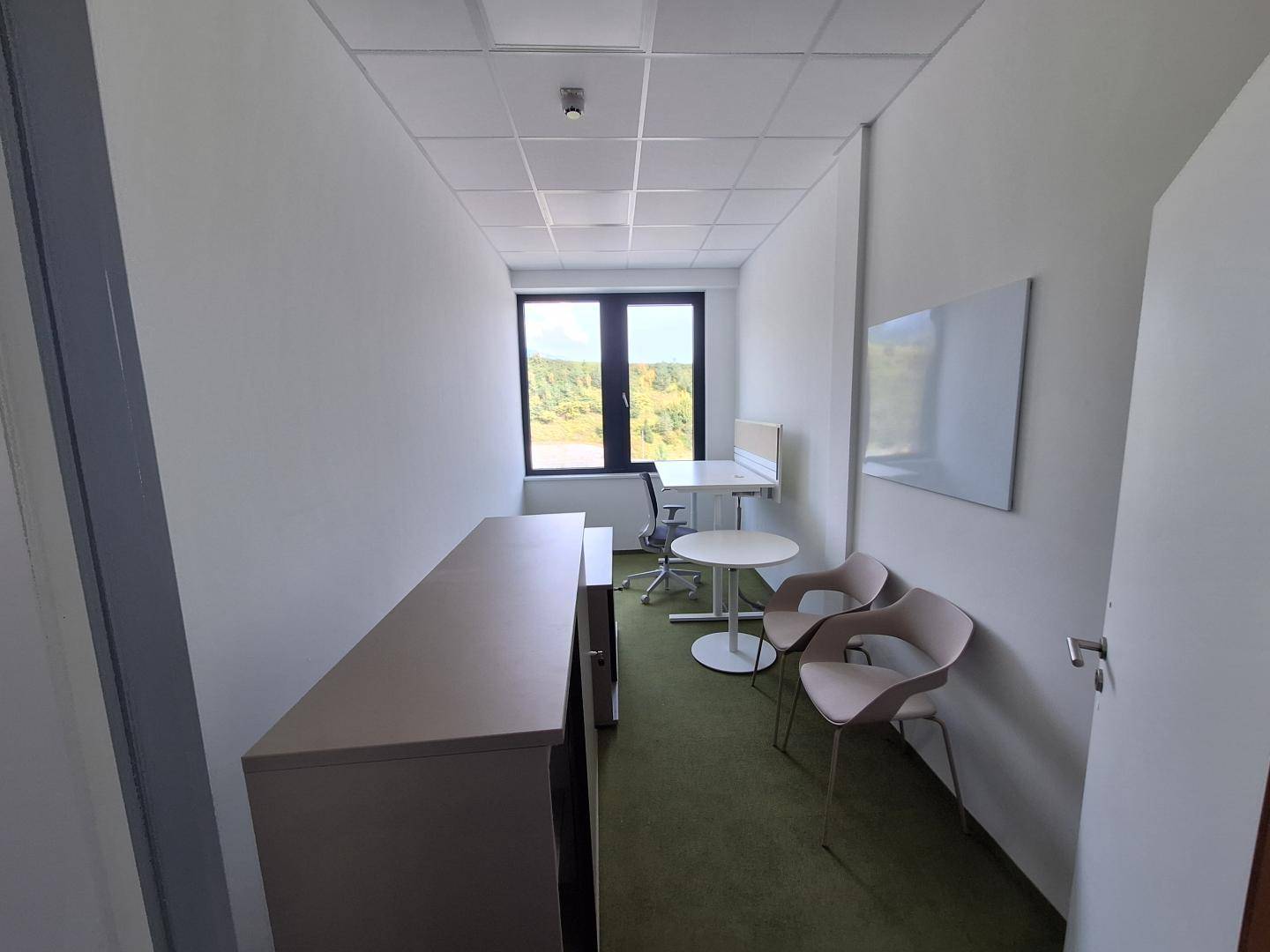 Helles Einzelbüro mit Teppichboden, modernen Möbeln und Blick ins Grüne durch große Fenster.
