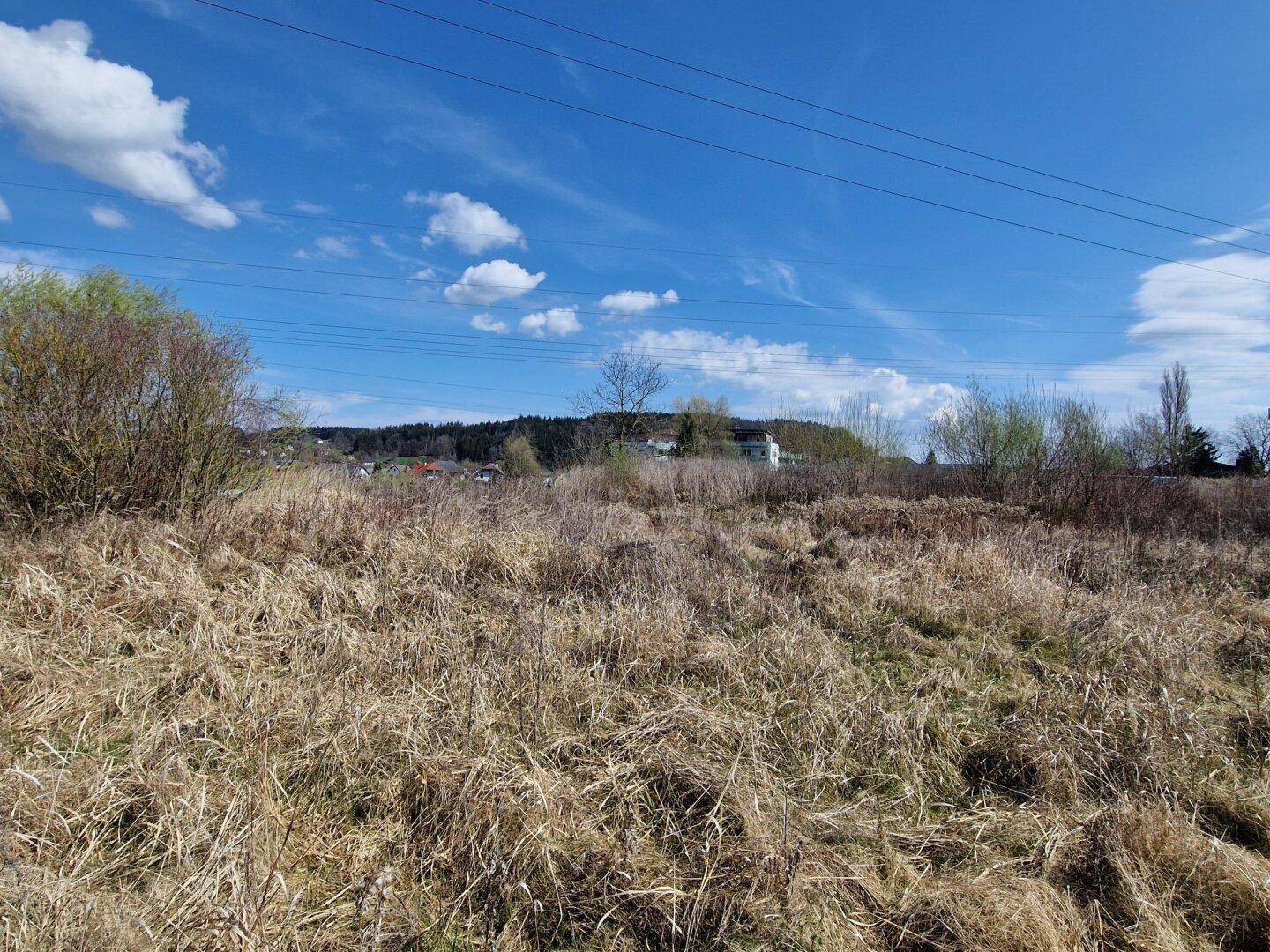 Weitläufiges Feld mit trockenem Gras und Häusern in der Ferne unter einem sonnigen, blauen Himmel.