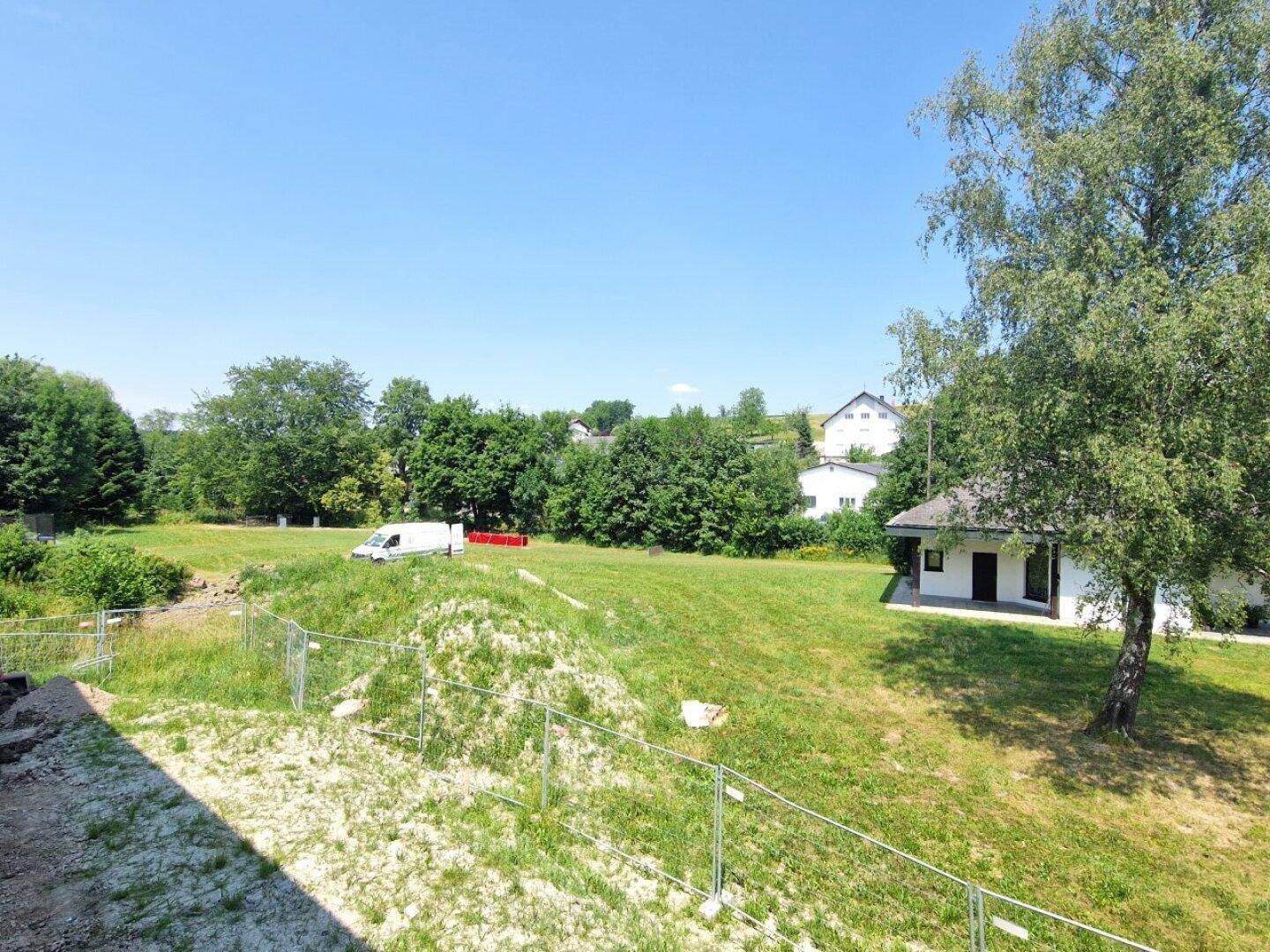 Weitläufige Grünfläche mit Bäumen und einem kleinen Haus im Hintergrund unter blauem Himmel.