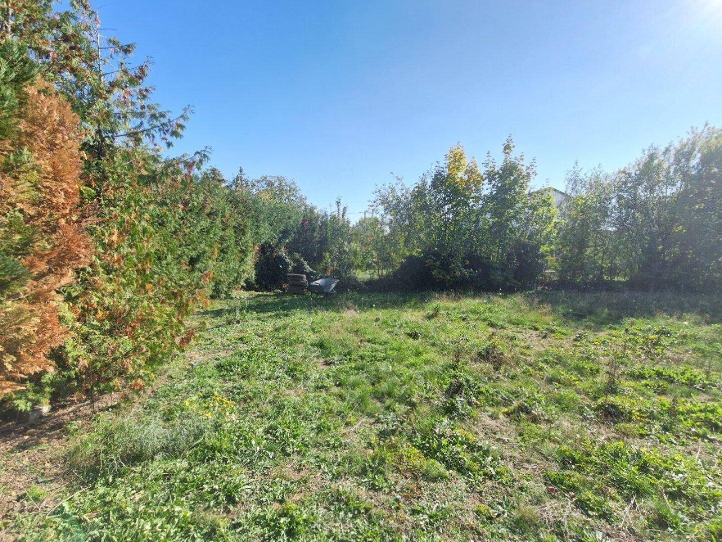 Unbebautes Grundstück mit Grasfläche, umgeben von hohen Bäumen und Sträuchern.