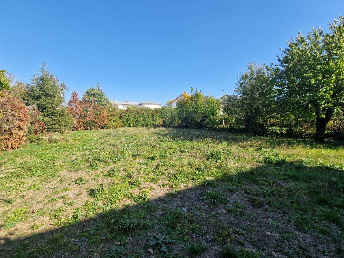 Unbebautes Grundstück mit grüner Wiese, Bäumen und einer dichten Hecke im Hintergrund.