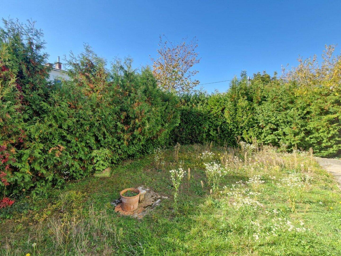 Kleiner, naturbelassener Gartenbereich mit hohen Hecken und wilden Blumen.
