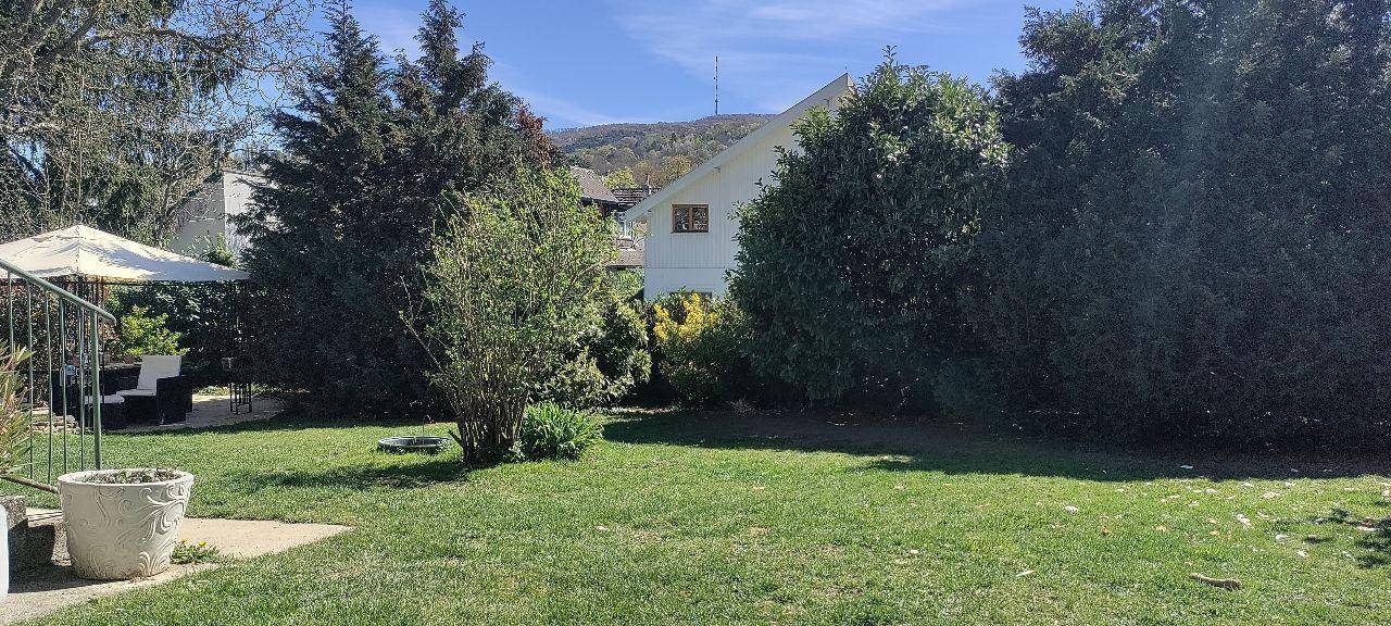 Gepflegter Garten mit Rasenfläche und hohen Bäumen, im Hintergrund ist ein weißes Haus sichtbar.