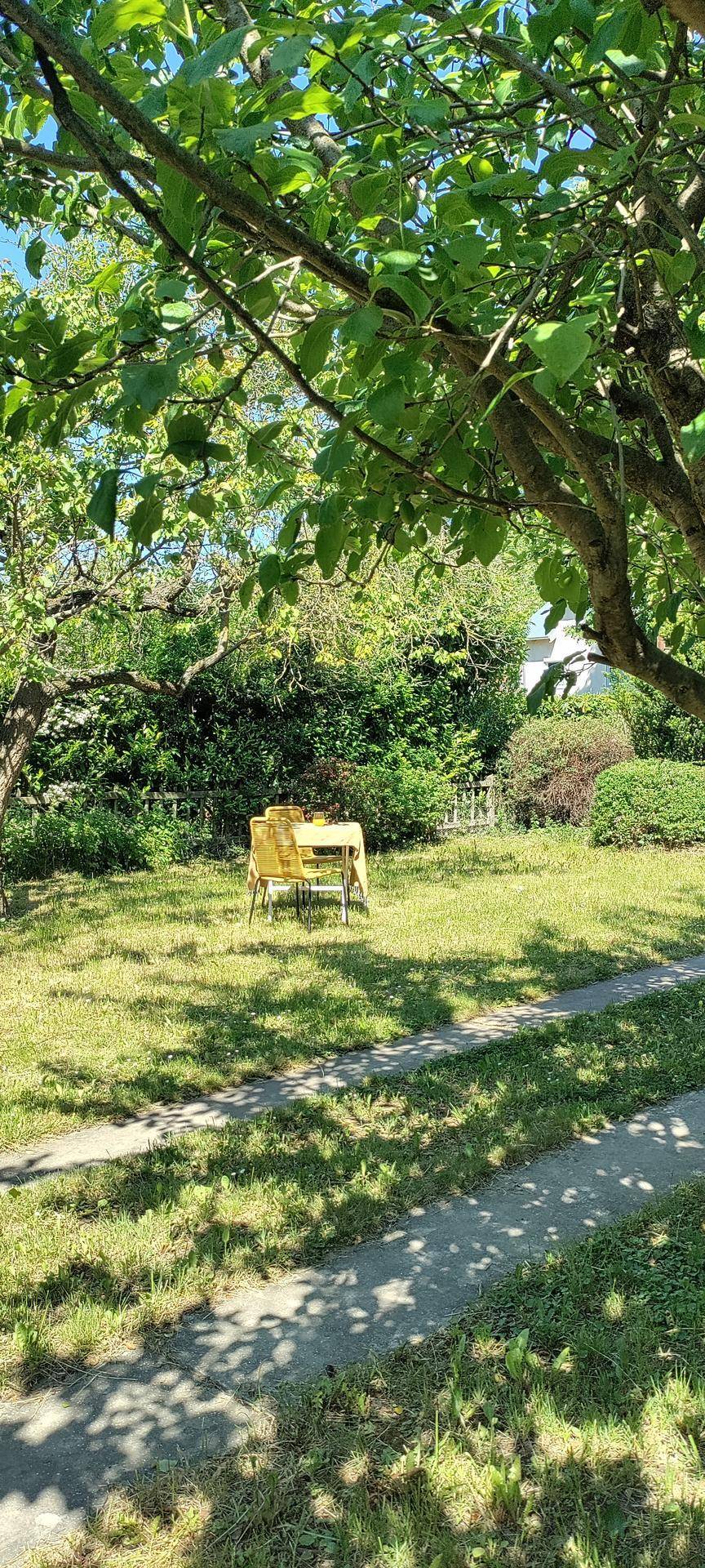 Sonniger Garten mit Rasenfläche, alten Bäumen und einem kleinen, gelben Sitzbereich.