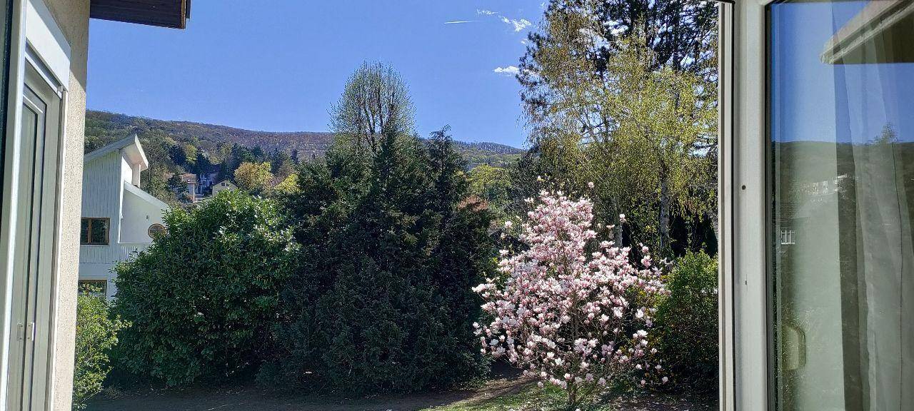 Blick aus dem Fenster auf einen grünen Garten mit blühendem Baum und einem weiteren Haus im Hintergrund.