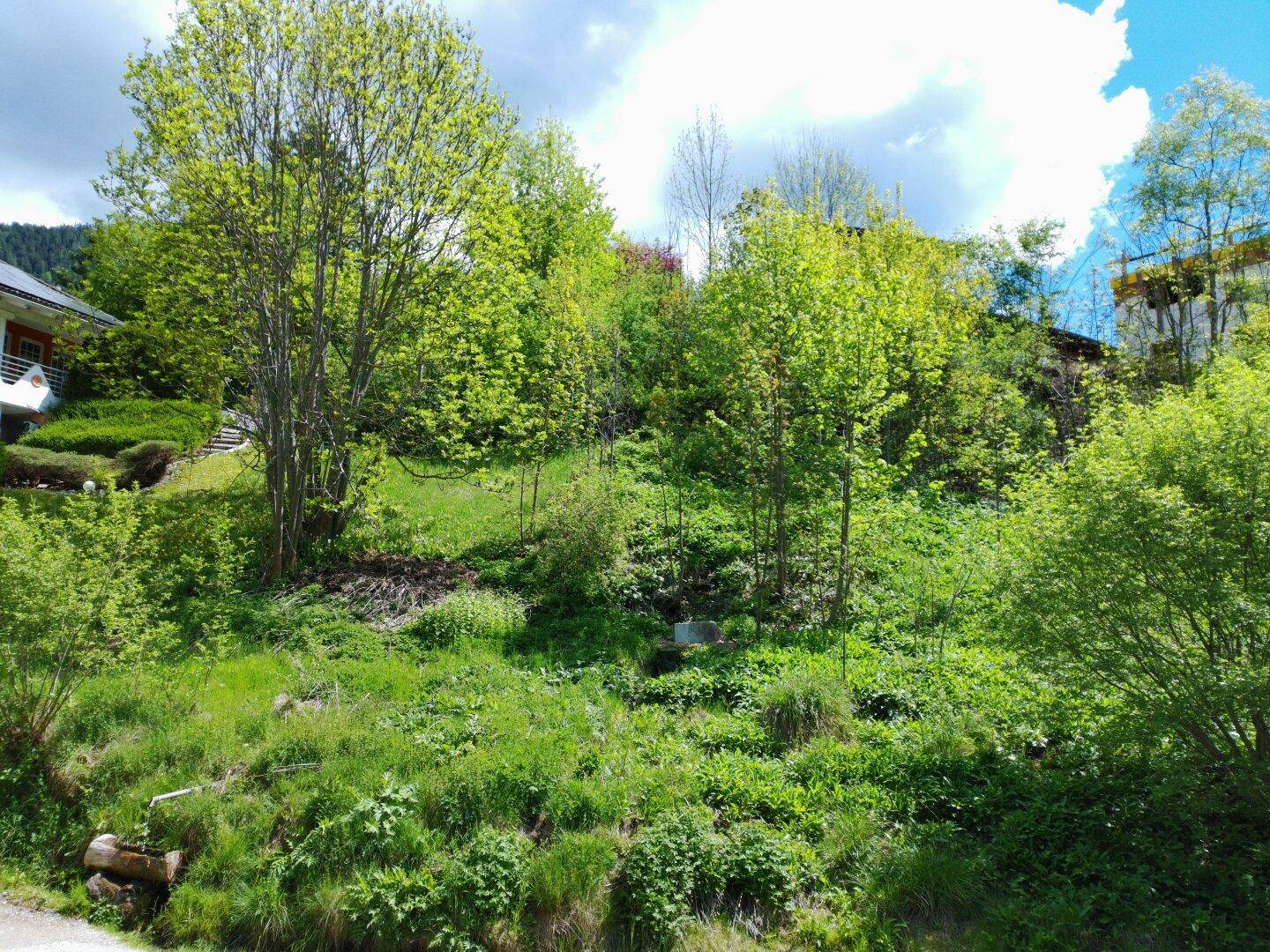 weitere Ansicht