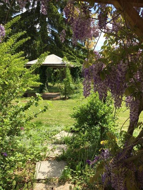 Malerischer Gartenweg führt zu einem Pavillon, umgeben von üppigem Grün und blühendem Blauregen.