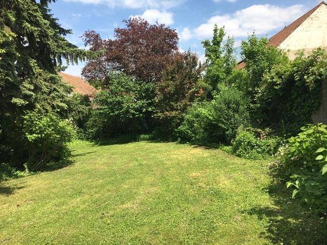 Offene Rasenfläche im Garten, umgeben von vielfältigen Büschen und Bäumen, ideal für Freizeitaktivitäten.